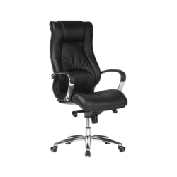 Professional Aesthetics: Camry High Back Chair Featuring Black Leather and Armrests